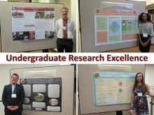 Idea Grants