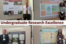 Research Excellence
