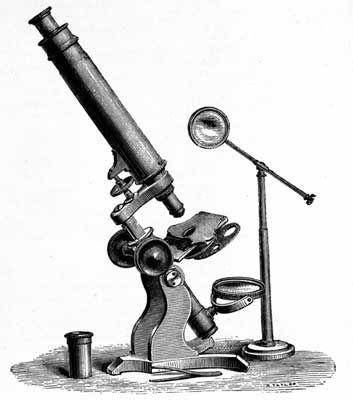 simple-victorian-microscope.jpg